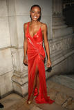 Selita Ebanks - At the CFDA Fashion Awards, New York