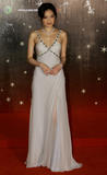 Shu Qi - 26th Annual Hongkong Film Awards