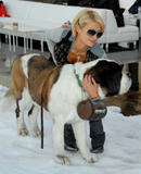 Paris Hilton Photo Gallery