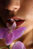 Nata - Orchid in the Night-1391386p2k.jpg